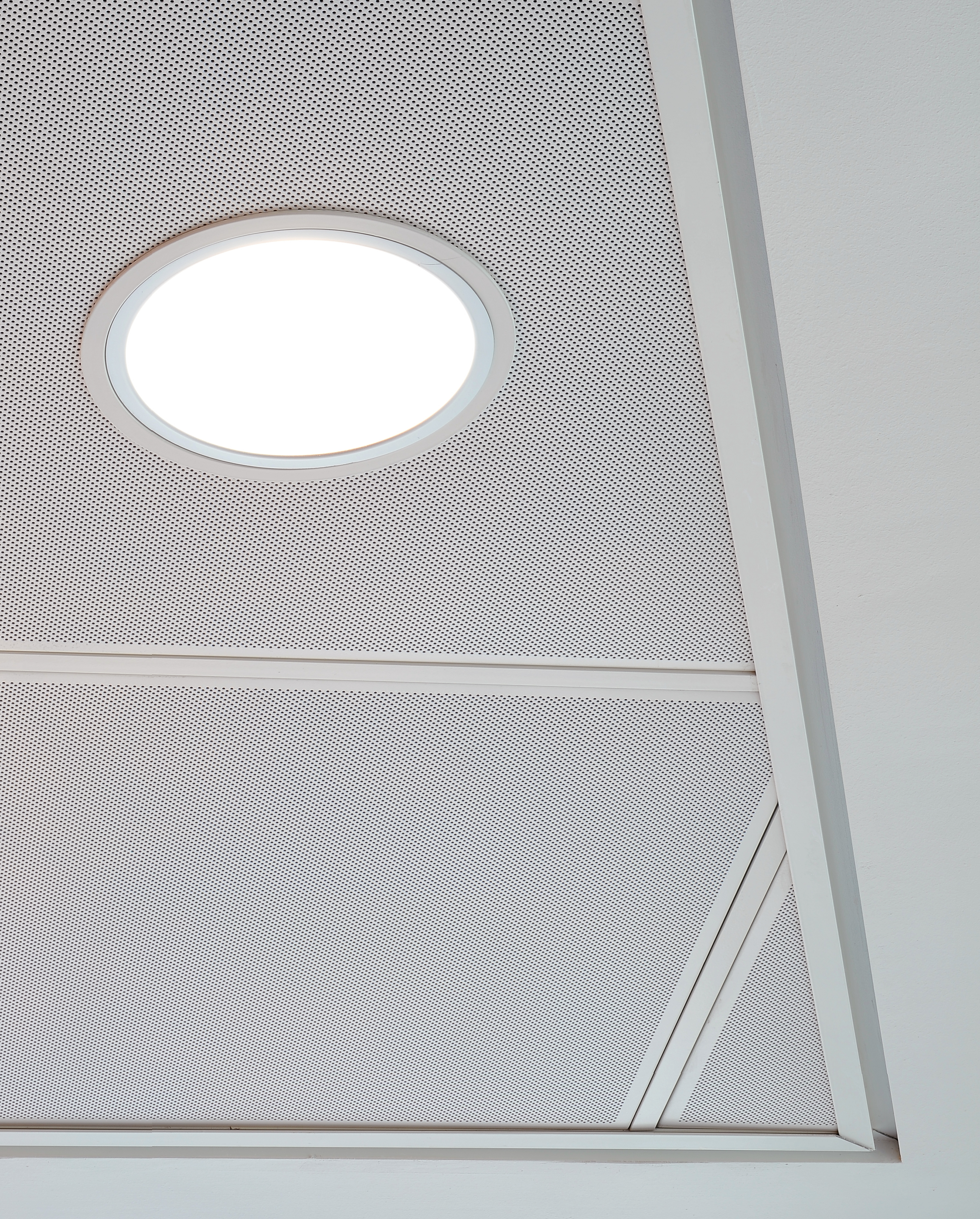 roya-com-130-001 (14).jpg (1)