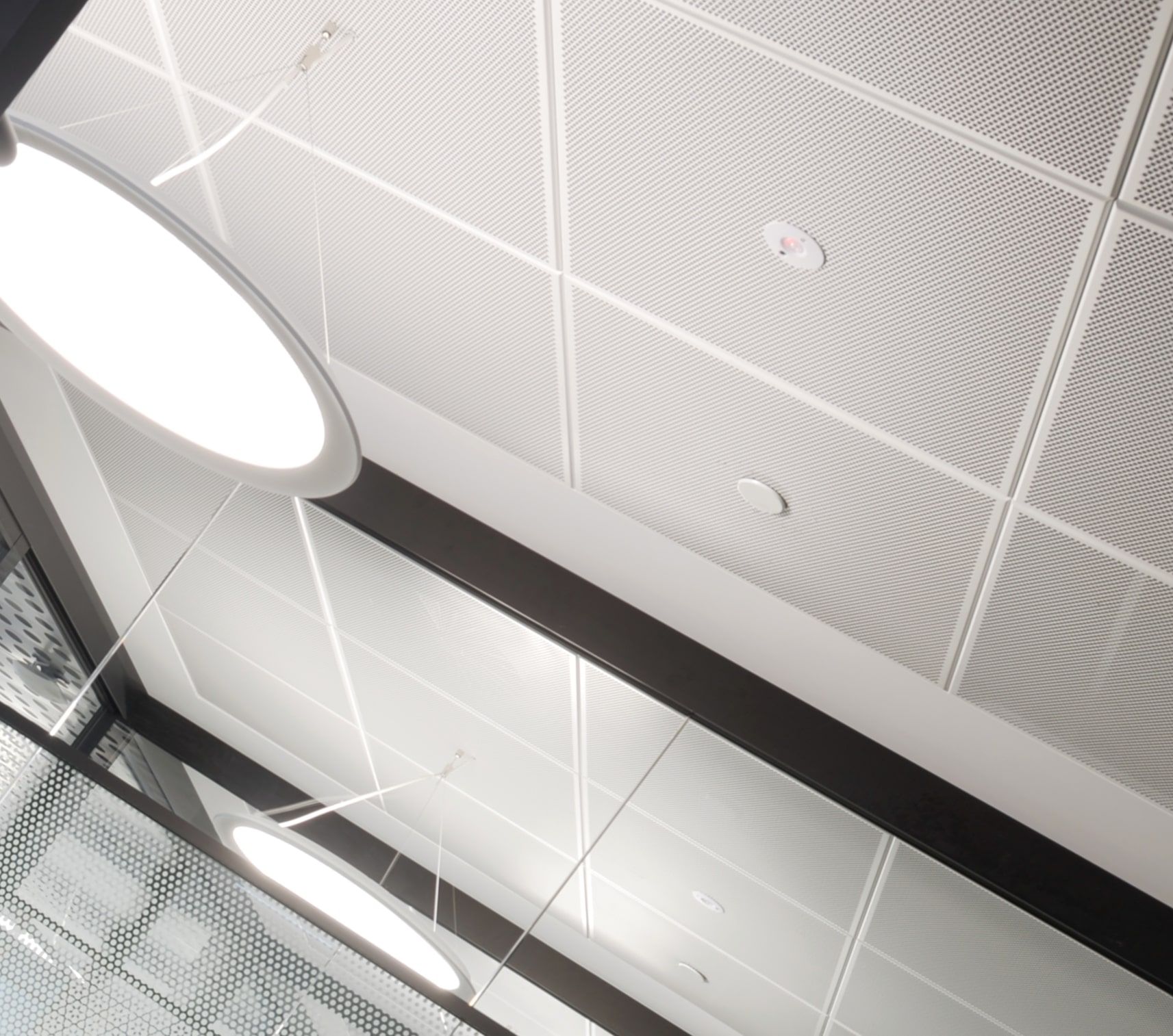 Mint-Lrg-310-com (3) (1).jpg