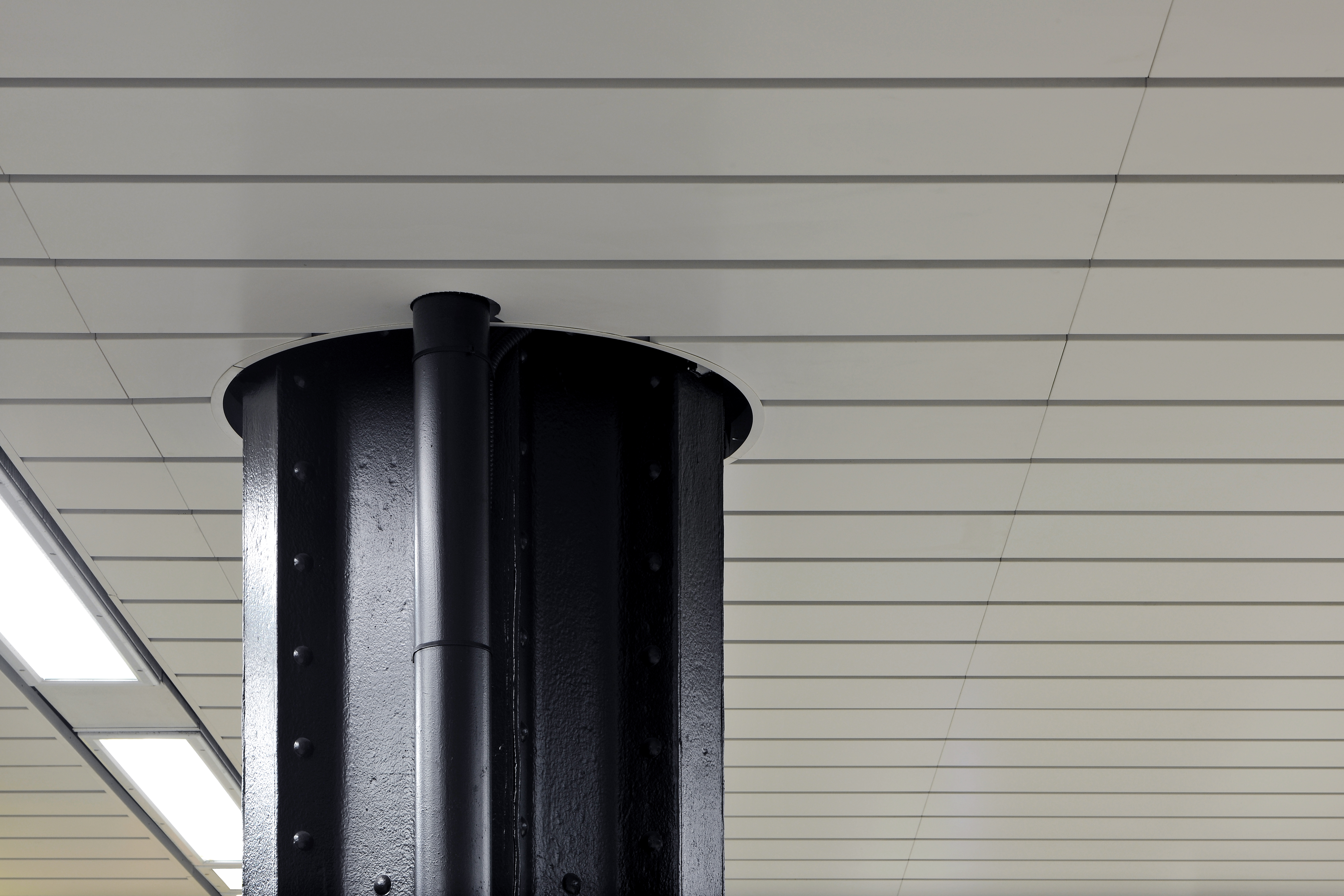 Livc-Lrg-AM-tra (2).jpg