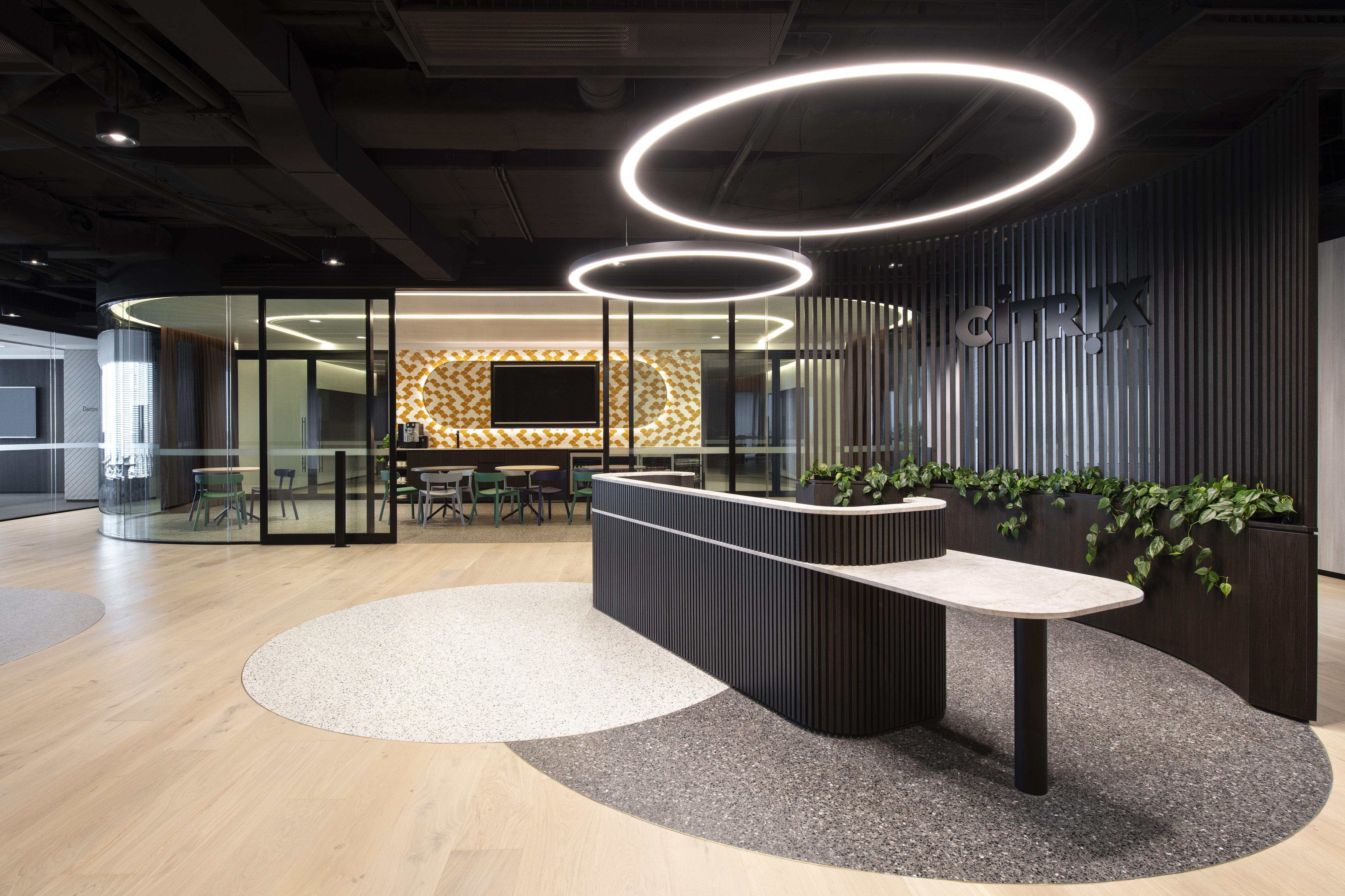 Citrix Lrg 200 320 Com (1)